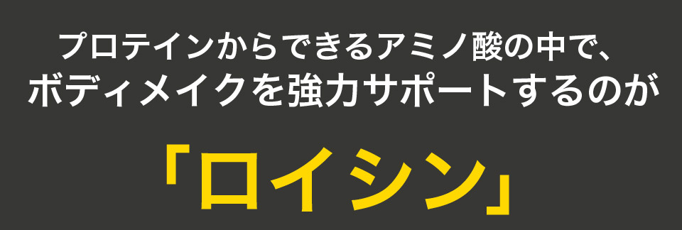 プロテインからできるアミノ酸の中で、ボディメイクを強力サポートするのが「ロイシン」