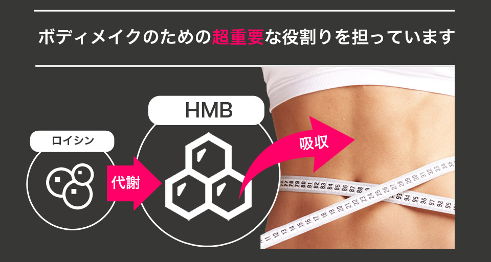 ボディメイクのための超重要な役割を担っています